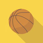 Basketball Hoop أيقونة