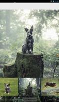 Australian Cattle Dog Theme captura de pantalla 3