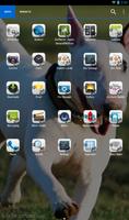 Bull Terrier Theme - Nova/ADW screenshot 1