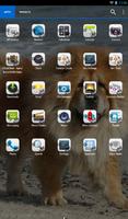 Chow Chow Theme - Nova/ADW/GO imagem de tela 1