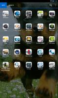 Rottweiler Theme - Nova/ADW/GO ภาพหน้าจอ 1