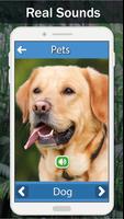 Animal Sounds - Learn And Play تصوير الشاشة 1