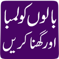 Araaish e Gaisu