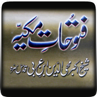 Fatoohat e Makayya آئیکن