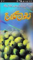 Zaitoon (Olives) Say ilaj Affiche