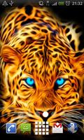 Blue Eyed Leopard LWP Affiche
