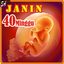 Pertumbuhan Janin 40 Minggu "UPDATE" APK