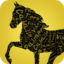 Feria Del Caballo 2015 Jerez APK