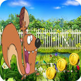 Crazy Squirrel Adventure Game icône