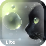 Curious Cat Lite ícone