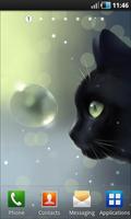 Curious Cat Lite poster