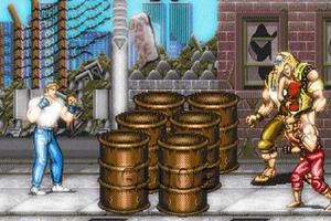 Guide For Final Fight Tips 스크린샷 2