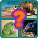 Adivinar Animales APK