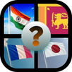 Flag Quiz APK