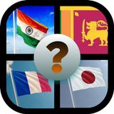 Flag Quiz icono