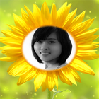 Photo In Sunflower frames أيقونة