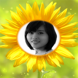 Photo In Sunflower frames アイコン