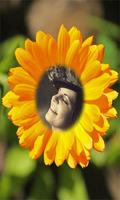 Photo In Sunflower frames imagem de tela 2