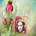 Rose Flower Photo Frames Maker