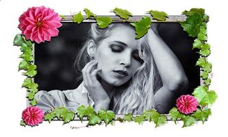 Rose Flower Photo Frames Maker پوسٹر