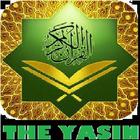 THE YASIN icône