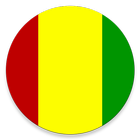 Constitution de la Guinée icône