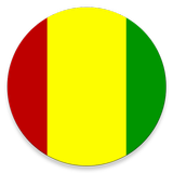 Constitution de la Guinée 아이콘