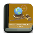 Droit International Public