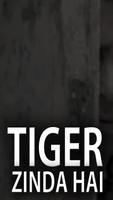 Movie video for Tiger Zinda Hai Affiche
