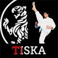 Beginner to Black Belt