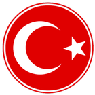 Turkish money calculator icône