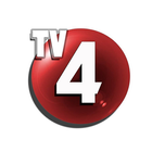 TV4 Television ícone