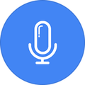 Voice Translate