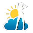 Weather Babes & Wallpapers APK