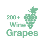 200+ Wine Grapes