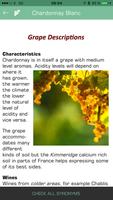 Poster 200+ Wine Grapes