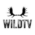 Wild TV