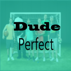 Dude video pro Perfect icône