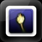 Mad Torch - LED Flash Light ikon