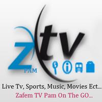 ZTV LIVE PAM Affiche