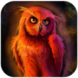 Красная Сова