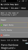 My Little Pony Quiz постер