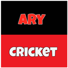 Ary Cricket أيقونة