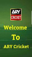 Ary Cricket Affiche