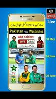 Ary Cricket 截图 1