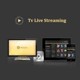 Tv Live Streaming-icoon