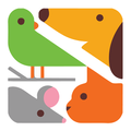 AAFRIN PETS