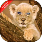 Animal Photo Montage ไอคอน