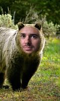 Animal Photo Montage ภาพหน้าจอ 1
