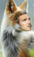 Animal Photo Montage ภาพหน้าจอ 2
